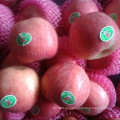 Con Global Gap Certificado Fresh FUJI Apple